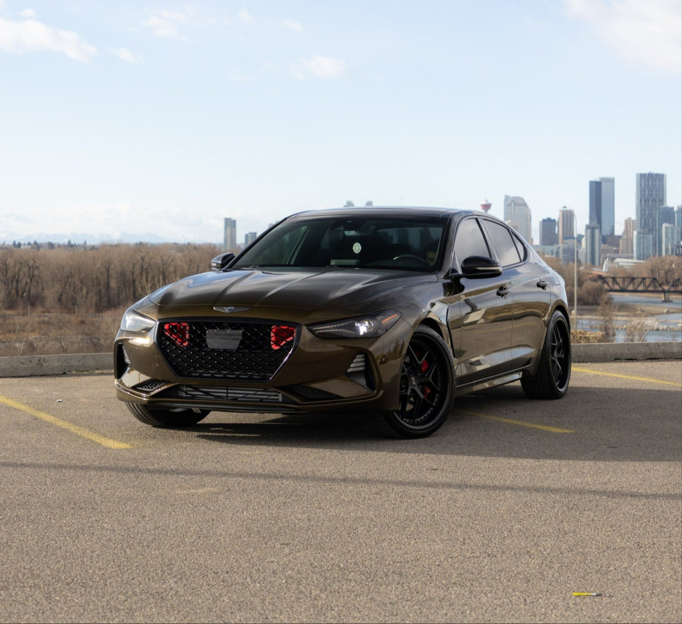 Vinyl wrap gallery image 1